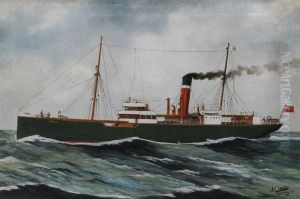 SSHull(Wilson and North Eastern Railway Shipping Company Limited, Hull)