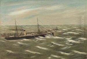 Steamer in a Swell Steamer in a Swell