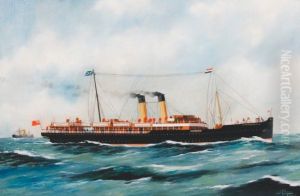 The Steam Vessel 'St Petersburg'. The Steam Vessel 'St Petersburg'.