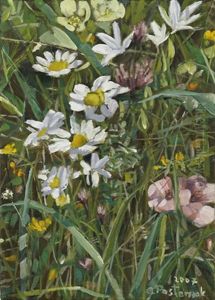 Field Thicket by Anna Pasternak