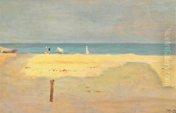 Sommerdag pa Skagen Srand. - view 1