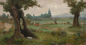 Landscape by Guillermo Gomez Gil