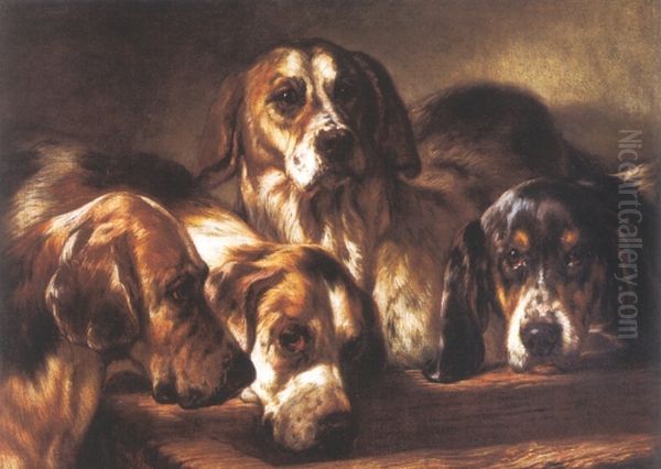 French hounds - view 1