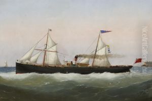 The auxiliary steamerRishanglyscalling for a pilot off a headland