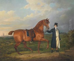 Junger Mann mit seinem Reitpferd Junger Mann mit seinem Reitpferd