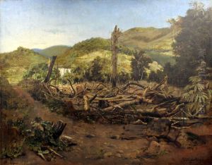 Felling of trees by Pedro Weingartner