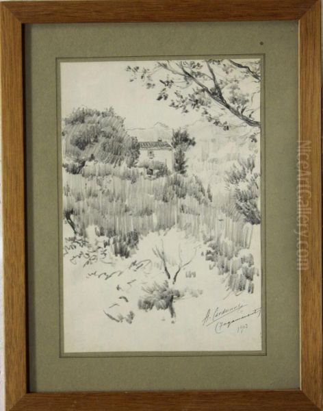 Tagamanent - view 1