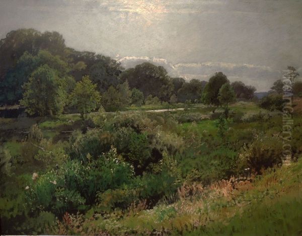 Jelcz on the Oder River - view 1