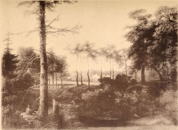 Landscape with pine trees - view 1