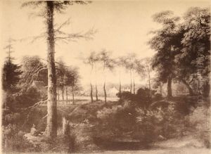 Landscape with pine trees by Allaert van Everdingen