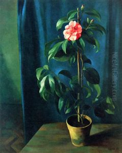 Camellia Camellia