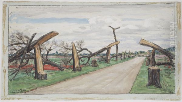 Route de Roye a Noyon: les arbres coupes - view 1