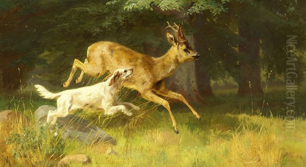A dog chasing a roebuck. - view 1