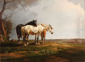 A flock of horses in a field in the sun by Adolf Mackeprang