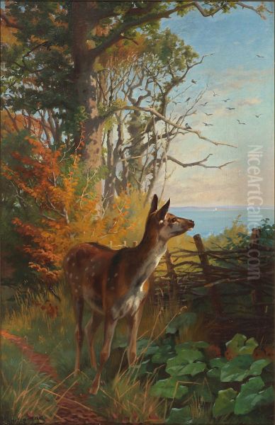 A deer in the forest - view 1