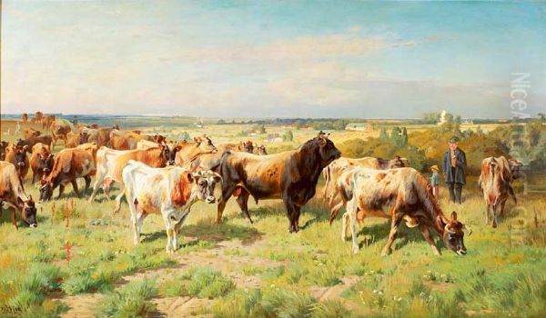 Cattle in the fields. - view 1