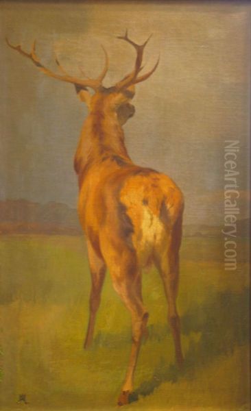 Landscape with red deer. - view 1