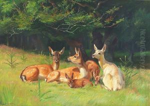 Deer at the edge of a wood.
