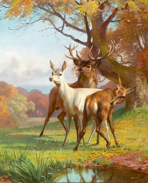 Forest scene with red deer. - view 1