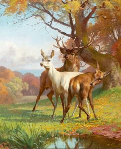 Forest scene with red deer.