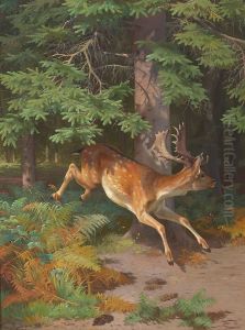Red deer in a forest clearing. Red deer in a forest clearing.