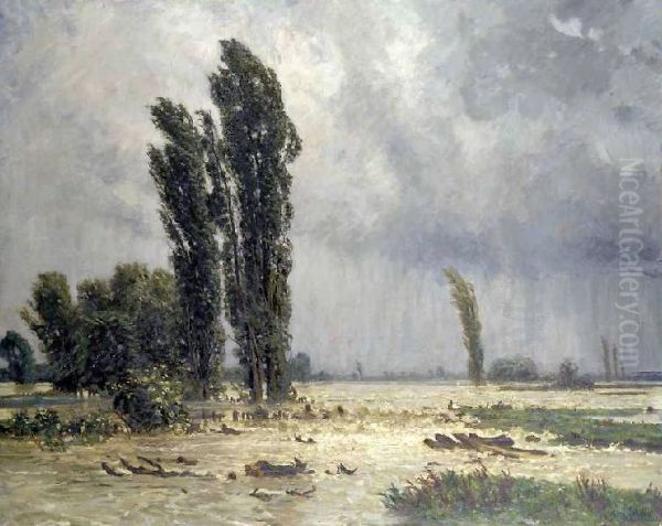 Uberschwemmung - view 1