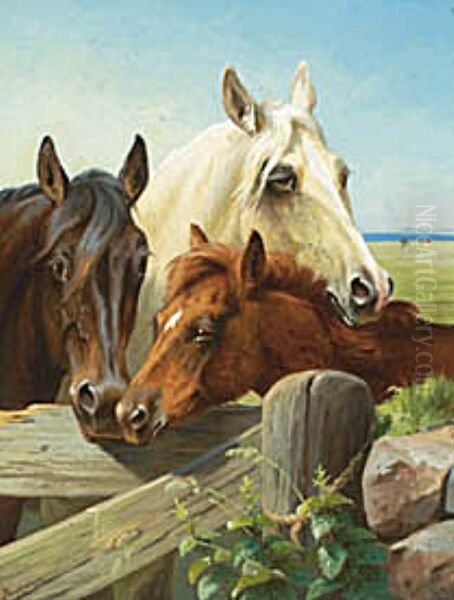 Three horses at a gate. - view 1