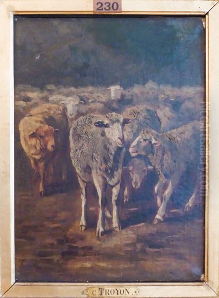 Etude de moutons - view 1