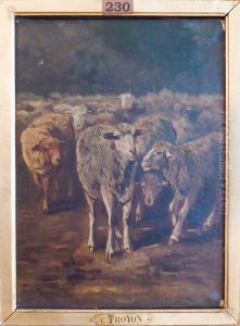 Etude de moutons by Constant Troyon