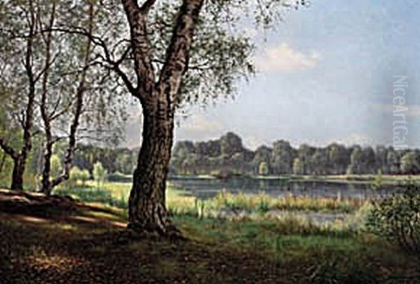 Forest view with a lake, early summer. - view 1