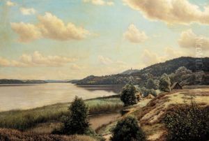 An extensive lake landscape. by Adolph Larsen