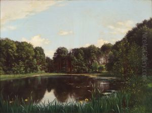 A summer day by a still forest lake.