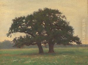 Landscape with old trees. Landscape with old trees.