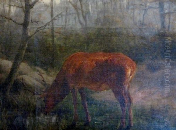Venado - view 1