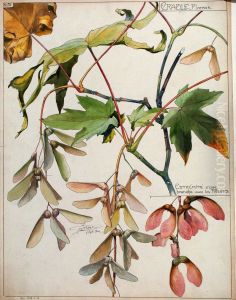 extremite d'une branche avec les fruits, musee de l'Ecole de Nancy, inv. 988-2-40, cliche D Boyer