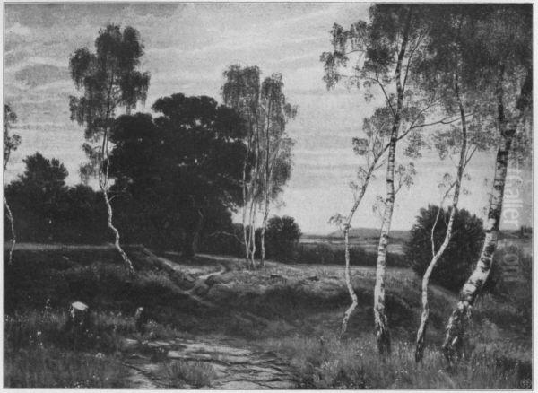 Birken - view 1