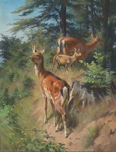 Forest scene with two deer and a fawn.