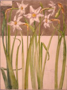Etude de narcisses by Henri Berge