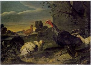 Turkeys and chickens by Adriaen van Utrecht