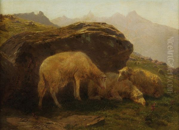 Les moutons sur une colline - view 1