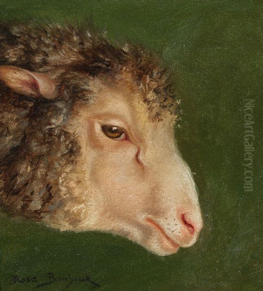 Head of an Ewe - view 1