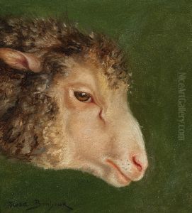 Head of an Ewe