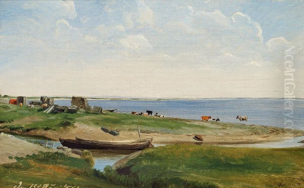 Coastal scenery with cows. - view 1