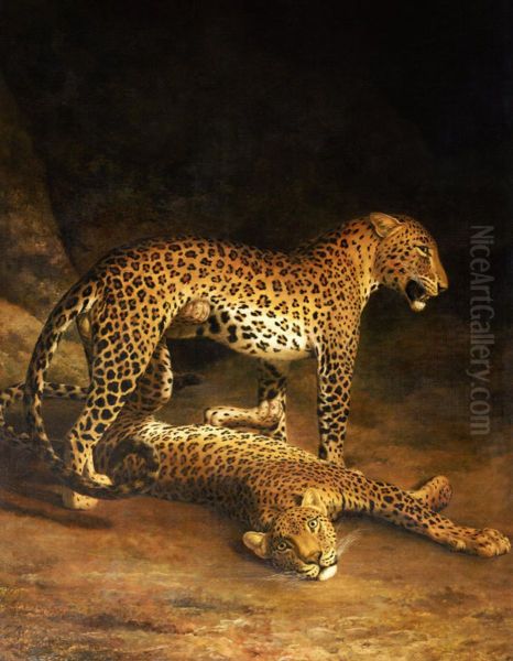 Two Leopards Lying in the Exeter - view 1