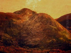 Landscape with heather.