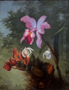Orchids by Agostinho Jose da Mota