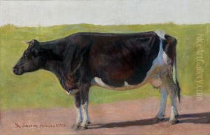Krowa by unknown