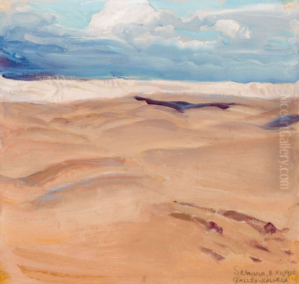 Sahara - view 1