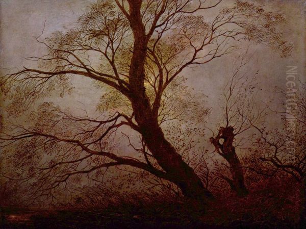 Trees in the moonlight - view 1
