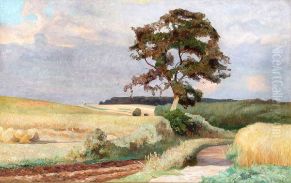 Country road - view 1